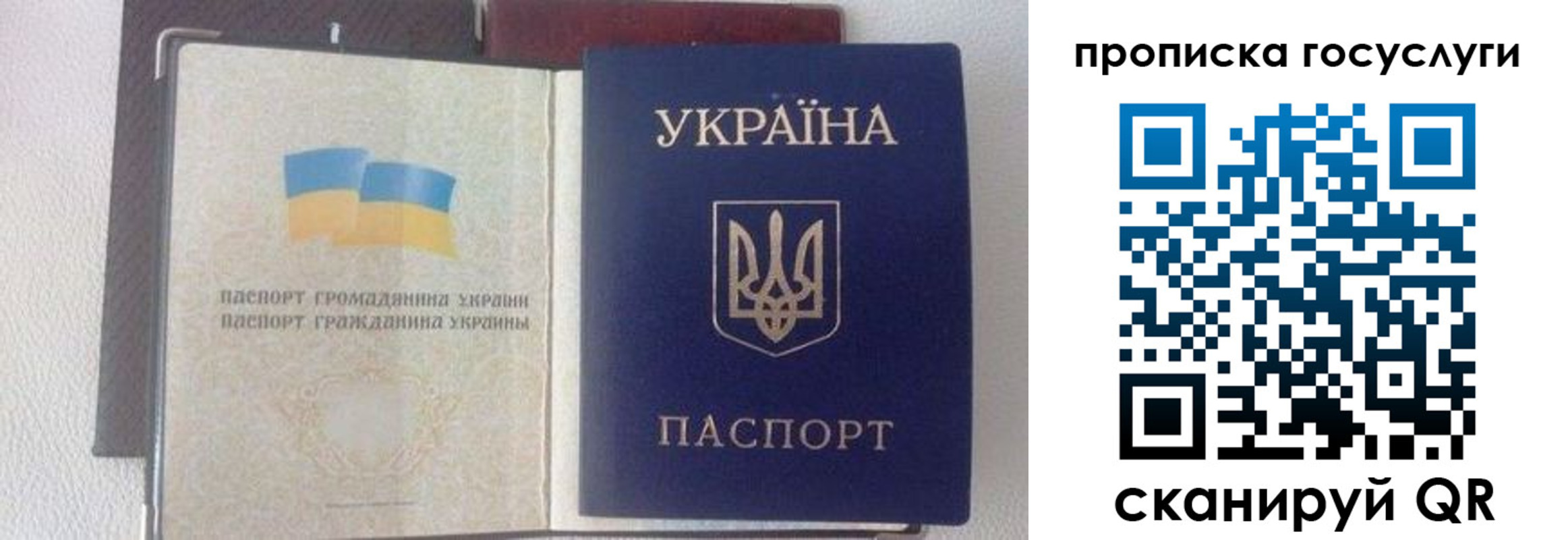 временная регистрация недорого в Балтийске